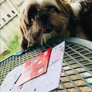 Meet your Posher, Chasidee